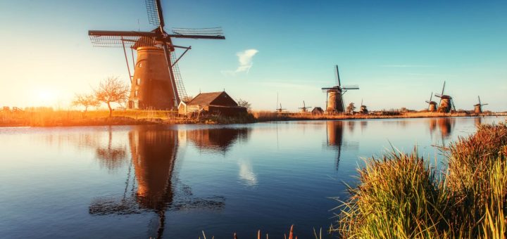 przewozy busami do holandii